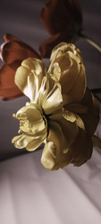 Similar image 22735417