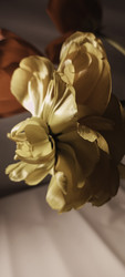 Similar image 22735418