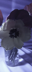 Similar image 22735419