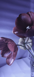 Similar image 22735420