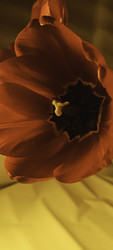 Similar image 22735421