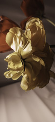 Similar image 22735422