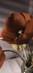 Similar image 22735423