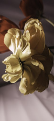 Similar image 22735424