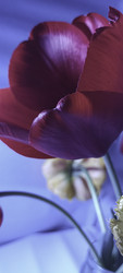 Similar image 22735425