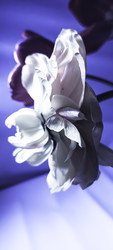 Similar image 22735427