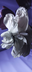 Similar image 22735428