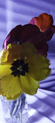 Similar image 22735429