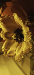 Similar image 22735430