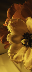 Similar image 22735431