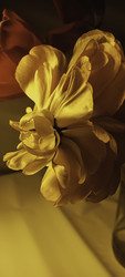 Similar image 22735433