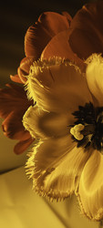 Similar image 22735435