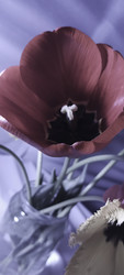 Similar image 22735436