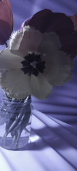 Similar image 22735437