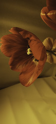 Similar image 22735438