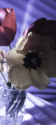 Similar image 22735439