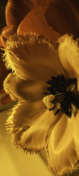 Similar image 22735440