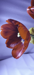 Similar image 22735441