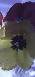 Similar image 22735442