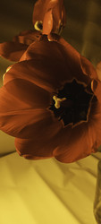 Similar image 22735445