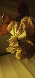 Similar image 22735447