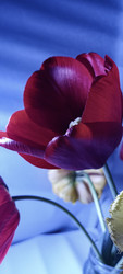 Similar image 22735449