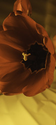 Similar image 22735451