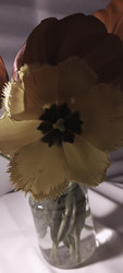 Similar image 22735454