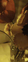 Similar image 22735456