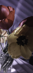Similar image 22735457