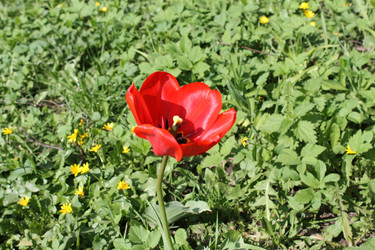 Similar image 22712500