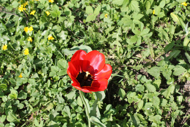 Similar image 22712503