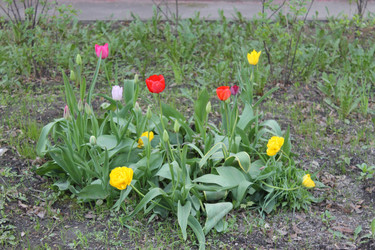 Similar image 22712504