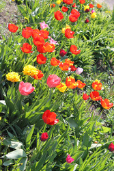 Similar image 22712514
