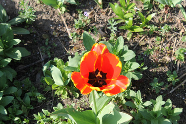 Similar image 22712515