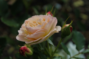 Similar image 22711976