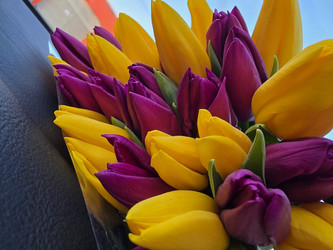 Similar image 22711925