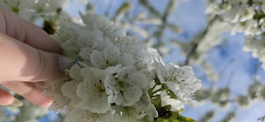 Similar image 22711927