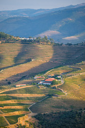 Similar image 22719685
