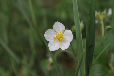 Similar image 22717914
