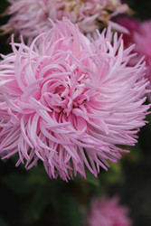 Similar image 22717915