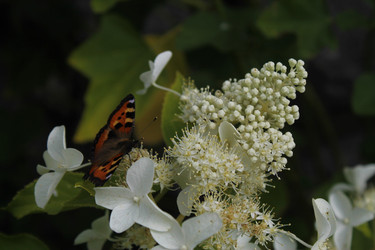 Similar image 22717916