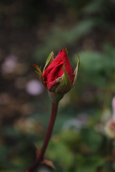 Similar image 22717919