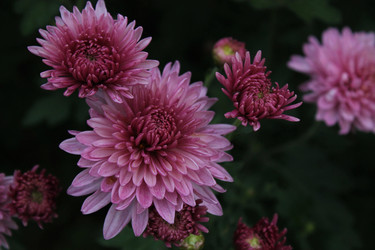 Similar image 22717929