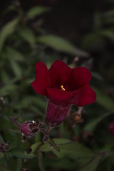 Similar image 22717937