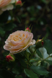 Similar image 22717939