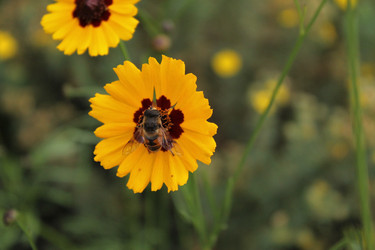 Similar image 22717940