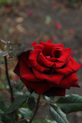 Similar image 22717948