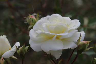 Similar image 22717949