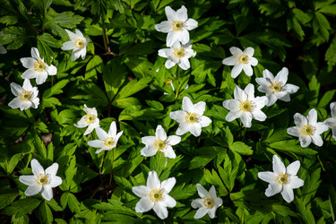 Similar image 22719555